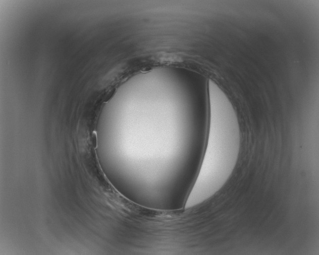 X0000081320704200701111029