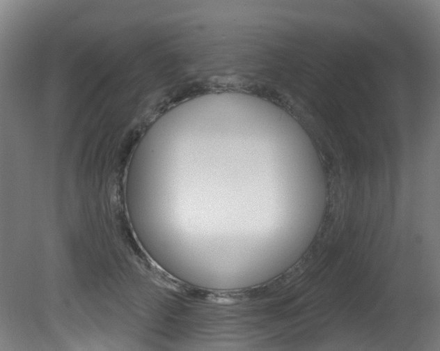 X0000081320706200701111029
