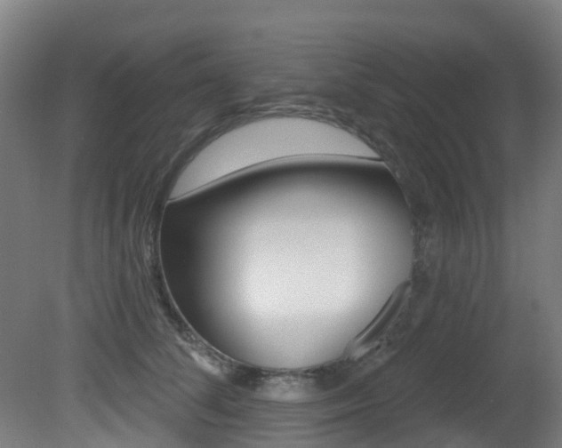 X0000081320708200701111029
