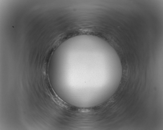 X0000081320710200701111029