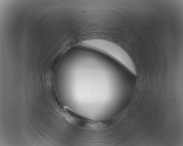 X0000081320712200701111029
