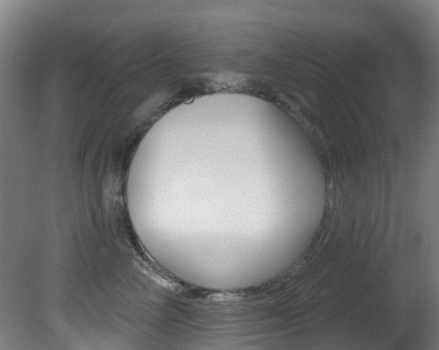 X0000081320714200701111028
