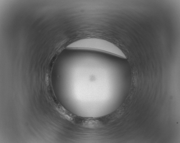 X0000081320716200701111028