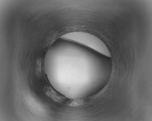X0000081320720200701111028