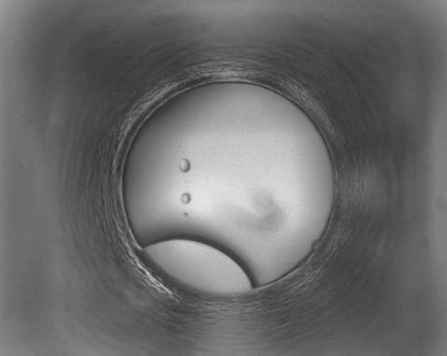 X0000081320721200701111028