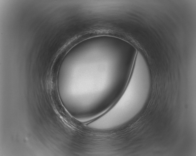 X0000081320722200701111028