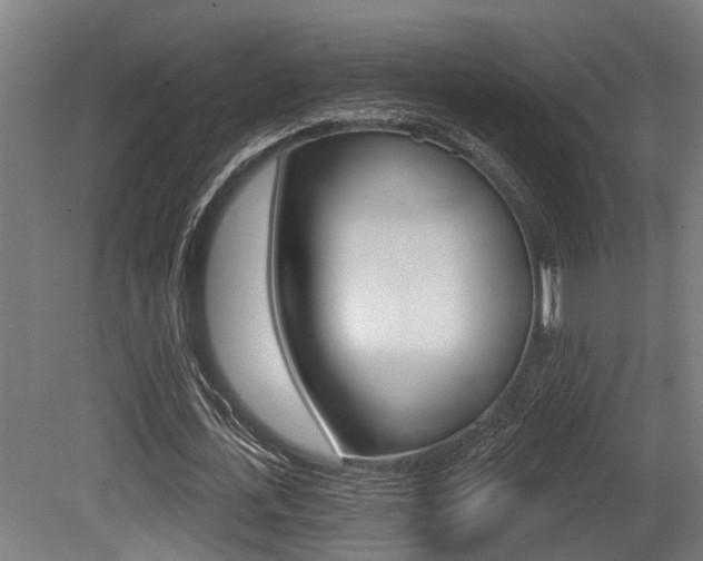 X0000081320723200701111028