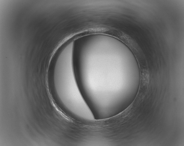 X0000081320726200701111028