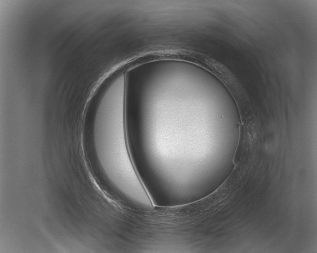 X0000081320728200701111028
