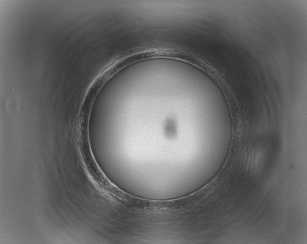 X0000081320730200701111028