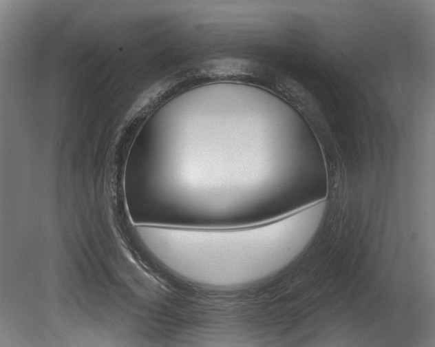 X0000081320732200701111028