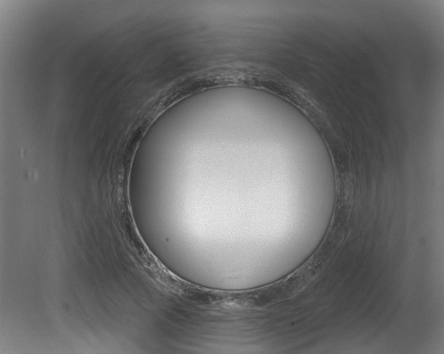 X0000081320737200701111028