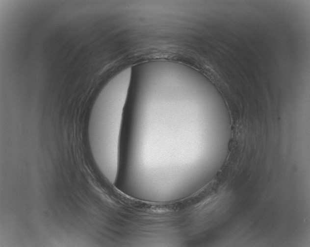 X0000081320741200701111028