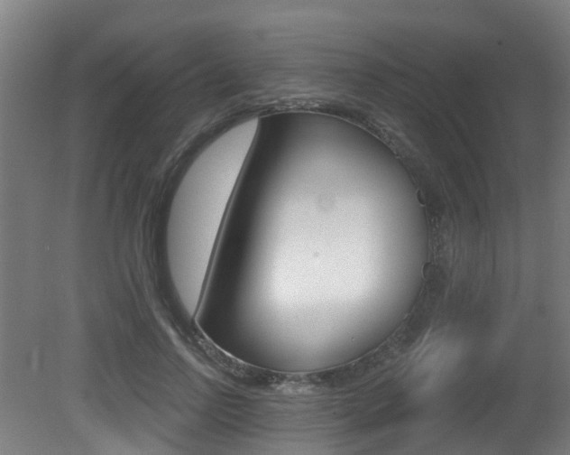 X0000081320742200701111028