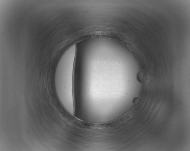 X0000081320746200701111028