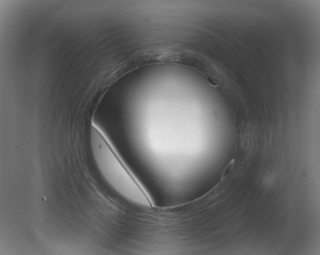 X0000081320748200701111028