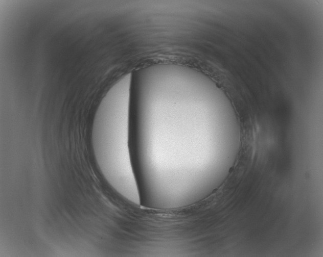 X0000081320749200701111028
