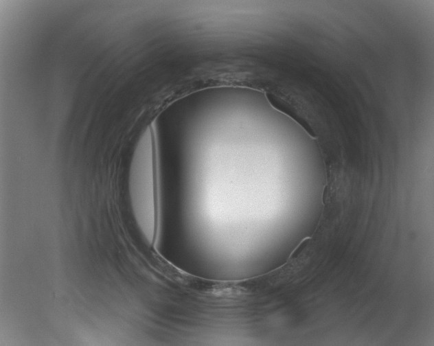 X0000081320752200701111028