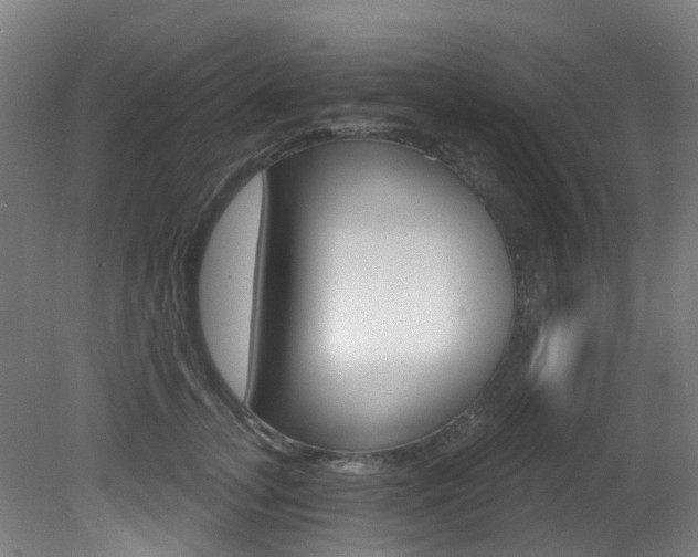 X0000081320755200701111028