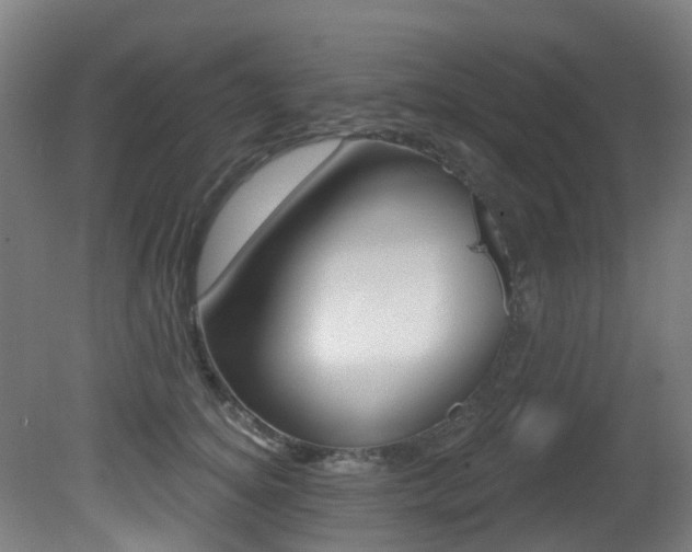 X0000081320756200701111028