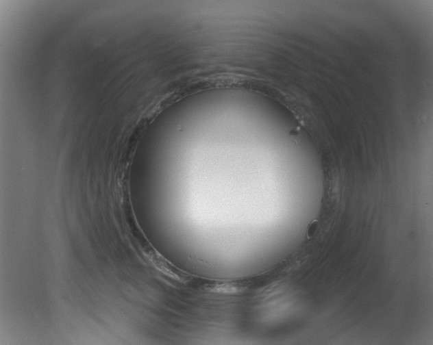 X0000081320759200701111028