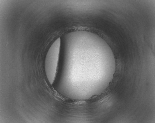 X0000081320761200701111028