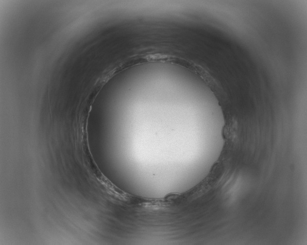 X0000081320763200701111028