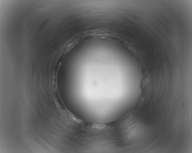 X0000081320767200701111028