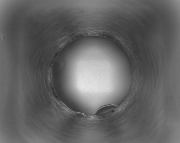 X0000081320768200701111028