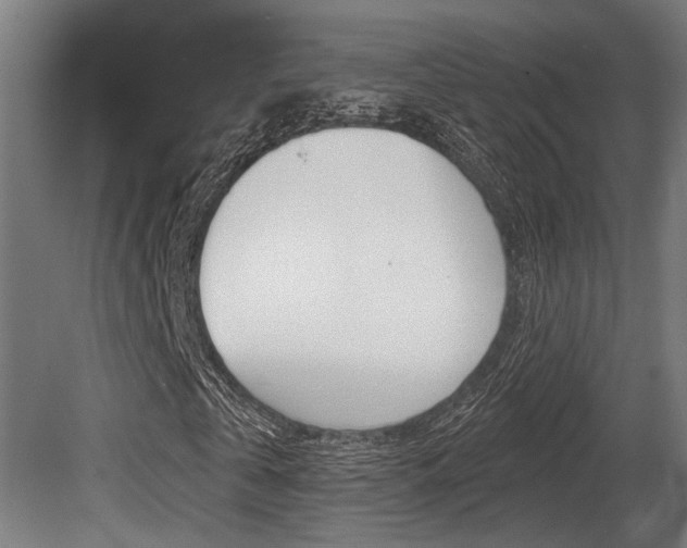 X0000081320769200701111028