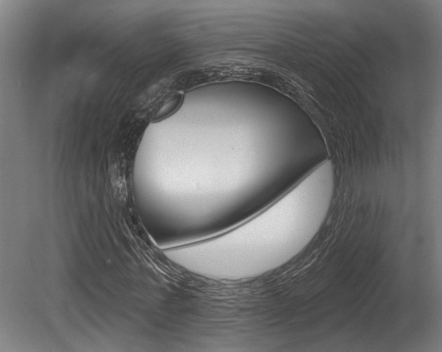 X0000081320771200701111028
