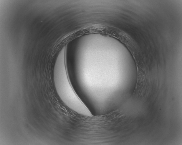 X0000081320773200701111027