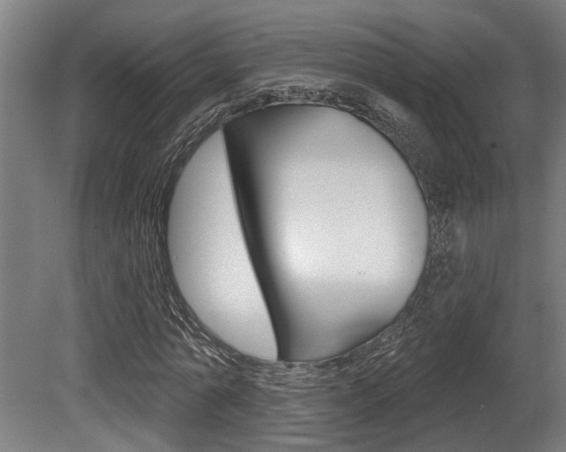 X0000081320774200701111027