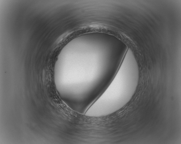 X0000081320776200701111027