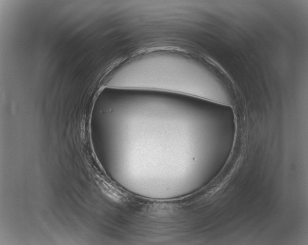 X0000081320777200701111027