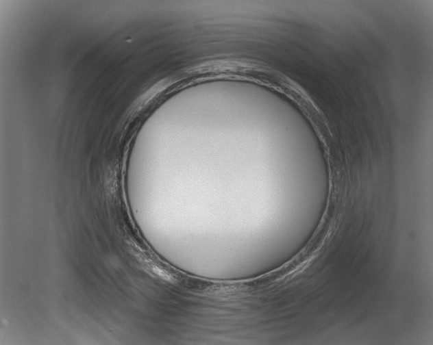 X0000081320778200701111027