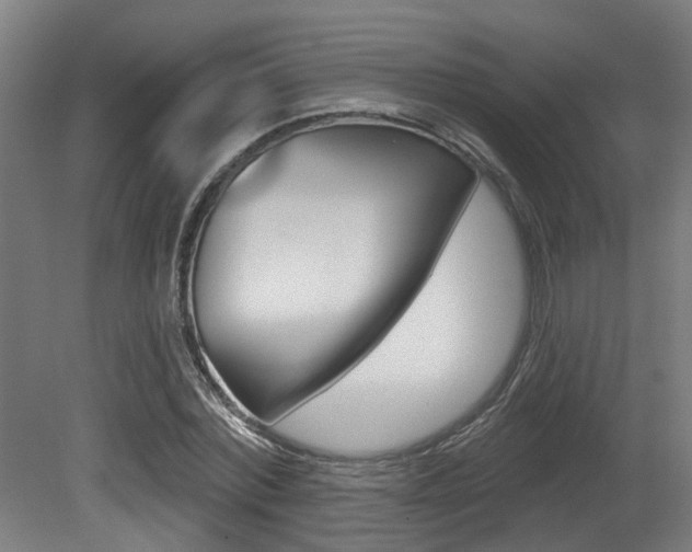 X0000081320780200701111027