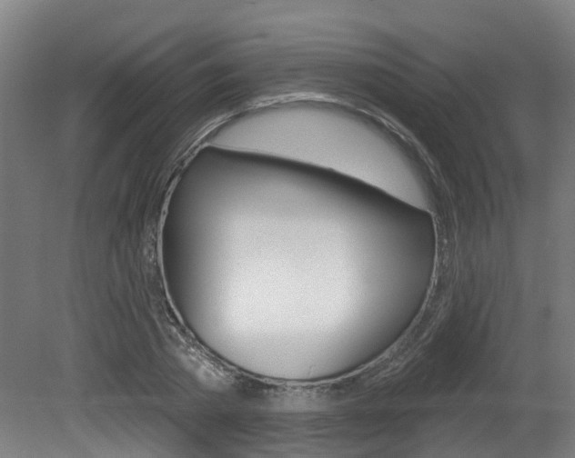 X0000081320785200701111027