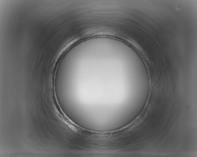 X0000081320790200701111027