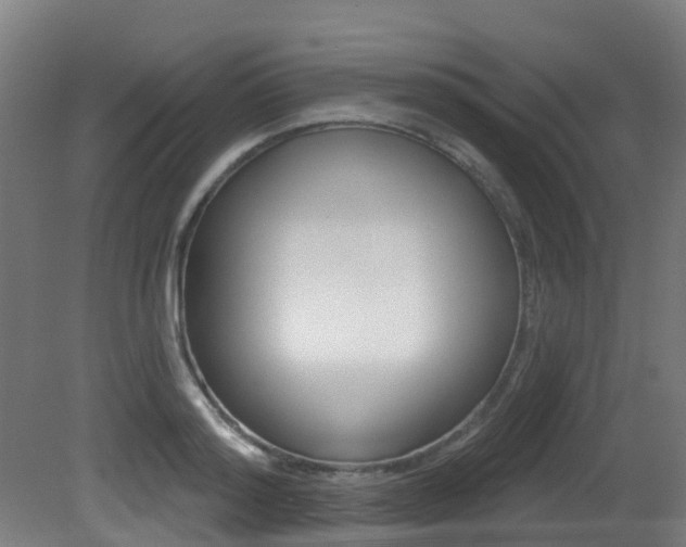 X0000081320796200701111027