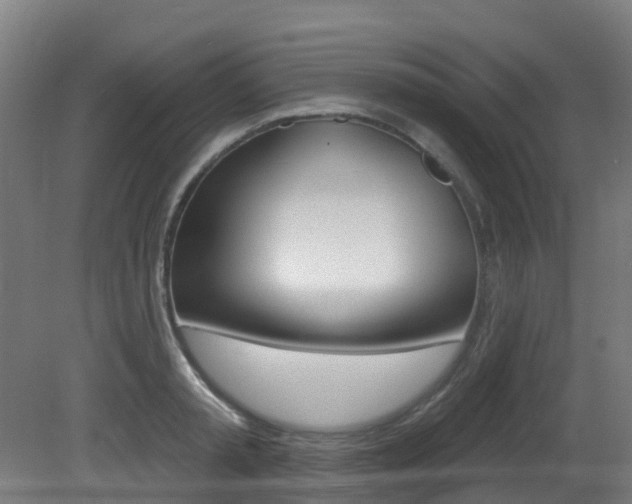 X0000081320797200701111027