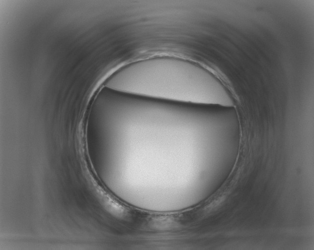 X0000081320798200701111027