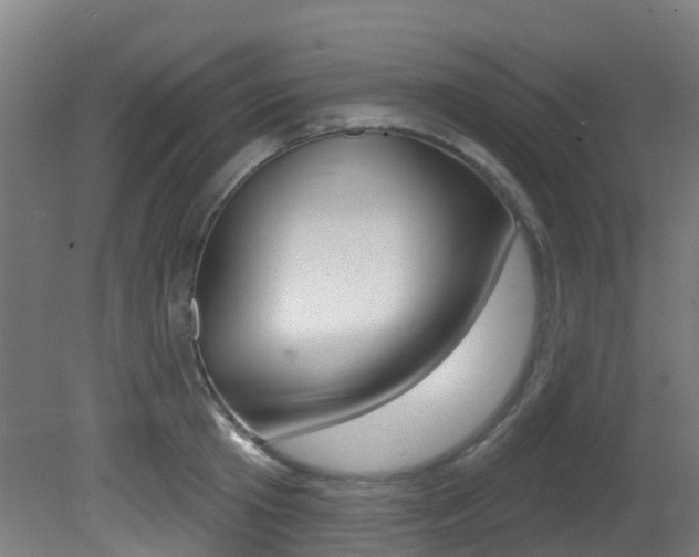 X0000081320801200701111027
