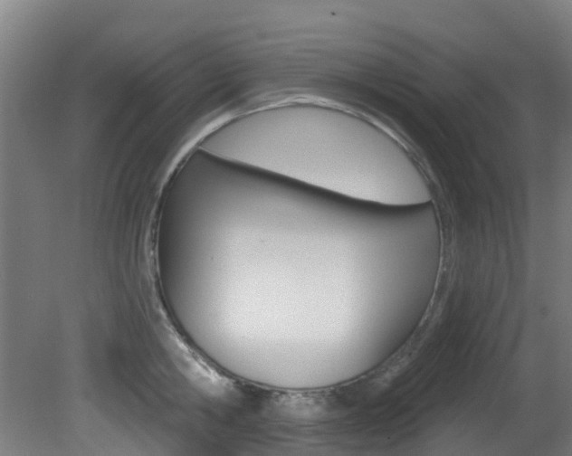 X0000081320806200701111027
