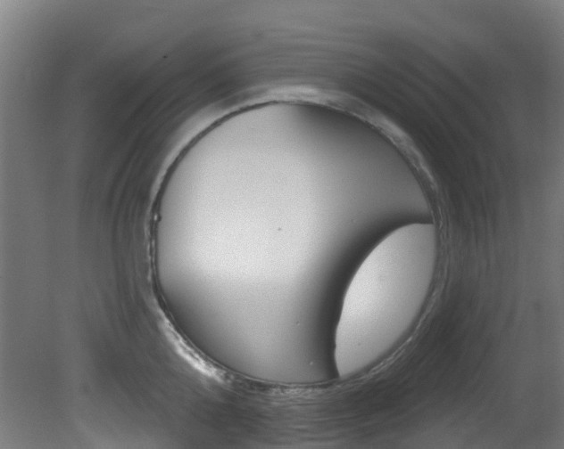 X0000081320808200701111027