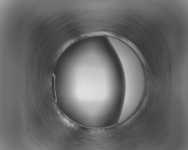 X0000081320809200701111027