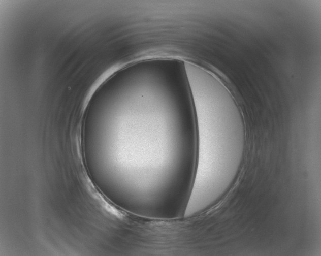 X0000081320812200701111027
