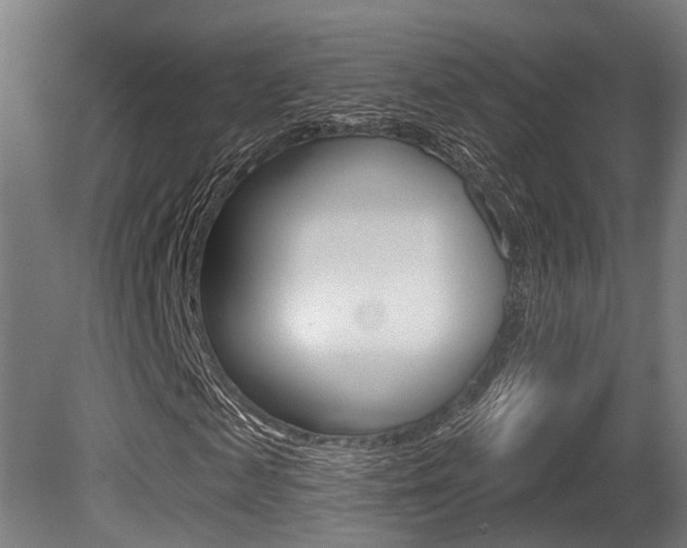 X0000081320817200701111026
