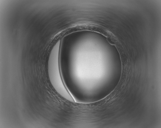 X0000081320822200701111026