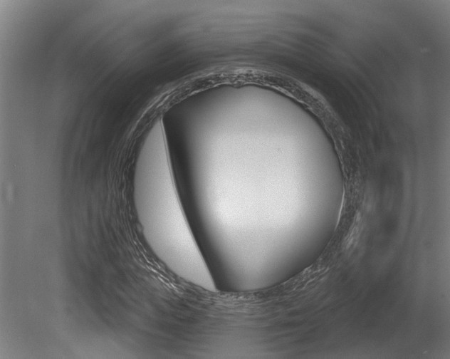 X0000081320823200701111026